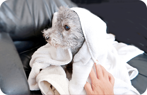 「酵素浴」イメージ