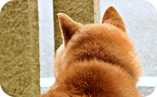 肌トラブルの改善