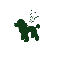 シャンプーで洗っているのに体臭が気になる