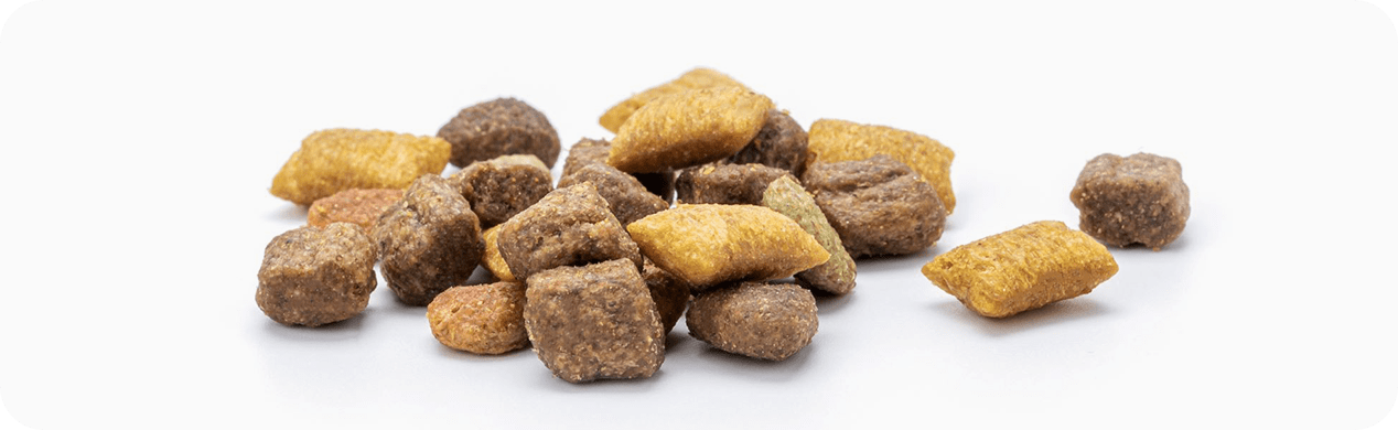 ページがありません