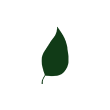 人工添加物が無添加であること