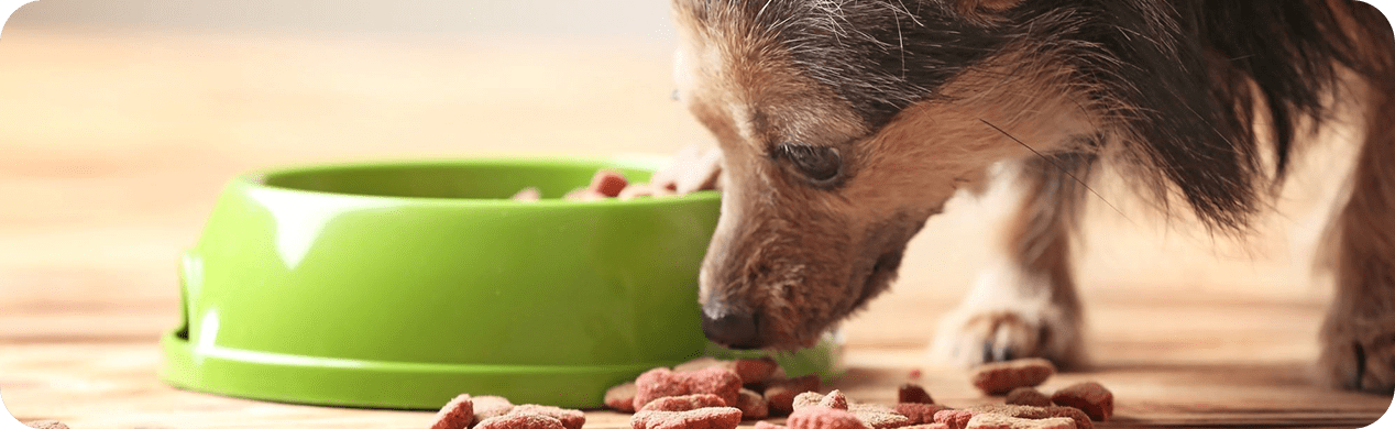 ドッグフード・おやつ